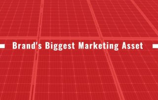 Brands Marketing Asset